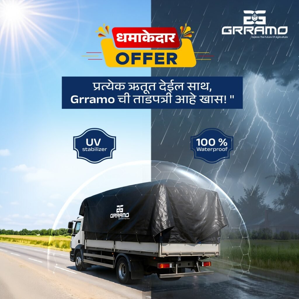 whatsapp image 2026 03 05 at 10.39.06 am